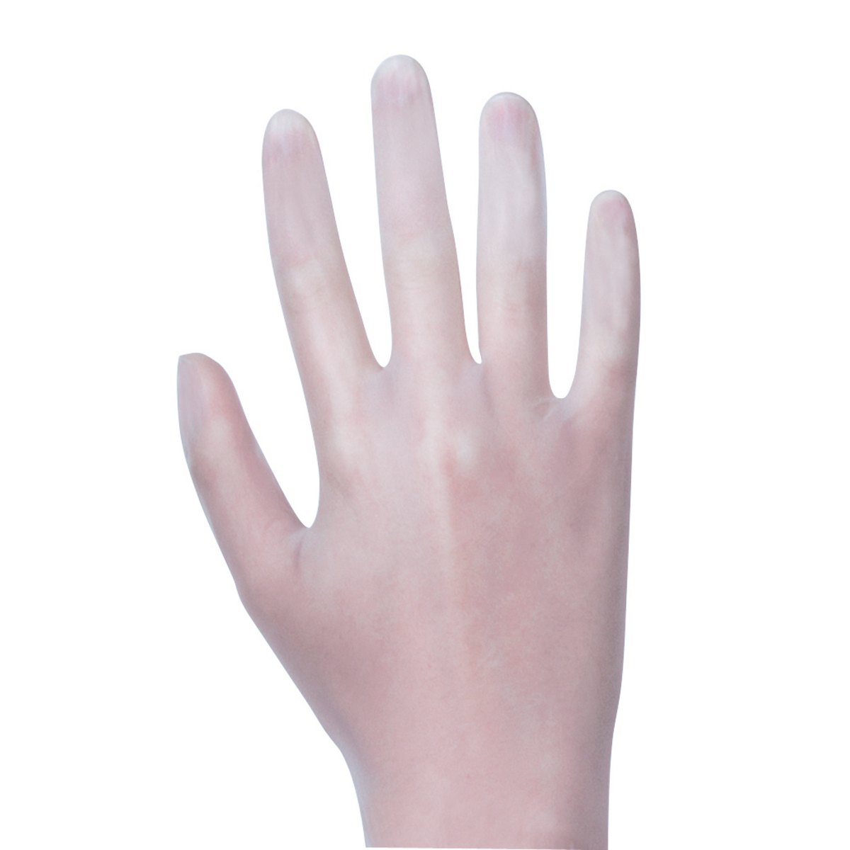 Premium Vinyl- Handschuhe